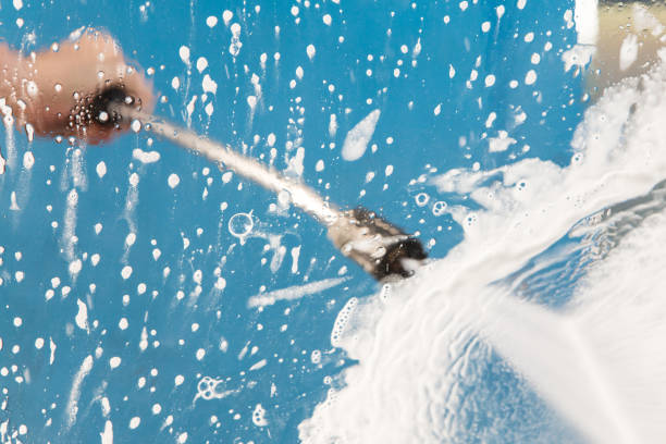 Animal Enclosure Cleaning in New Berlin, IL
