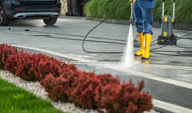 Best Driveway Pressure Washing  in New Berlin, IL